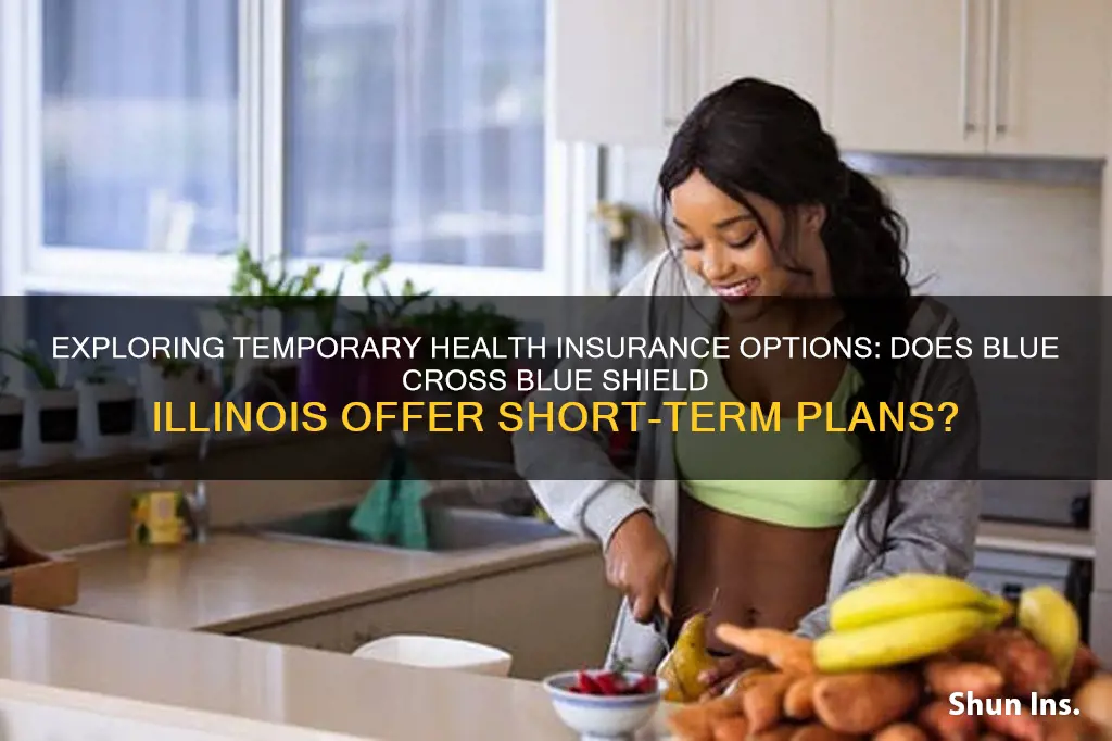 does blue cross blue shield illinois have short term insurance