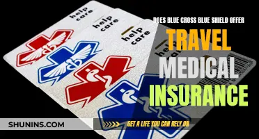 Blue Cross Blue Shield: Travel Insurance Options and Benefits