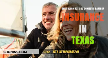 Blue Cross Domestic Partner Insurance Coverage in Texas: What You Need to Know