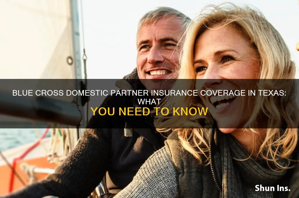 does blue cross do domestic partner insurance in texas