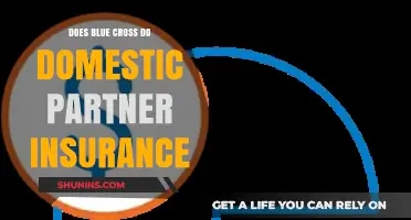 Does Blue Cross Offer Domestic Partner Insurance Coverage? Find Out Here