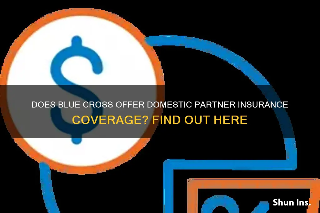 does blue cross do domestic partner insurance