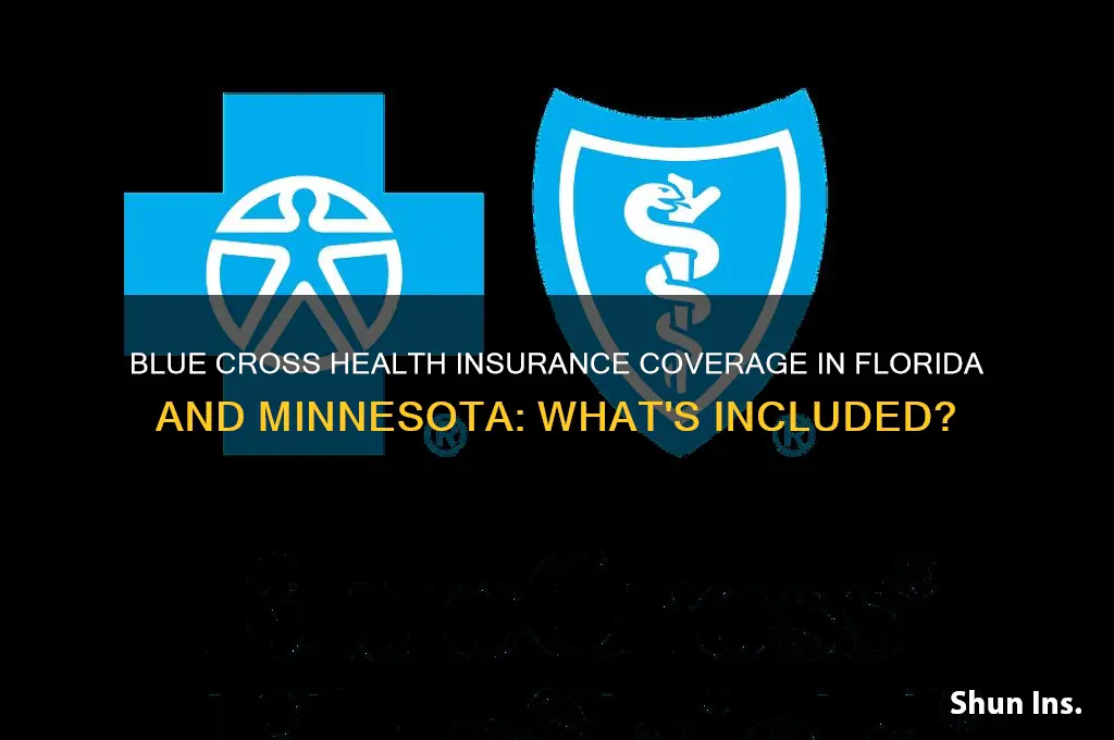 does blue cross health insurance cover florida and minnesota
