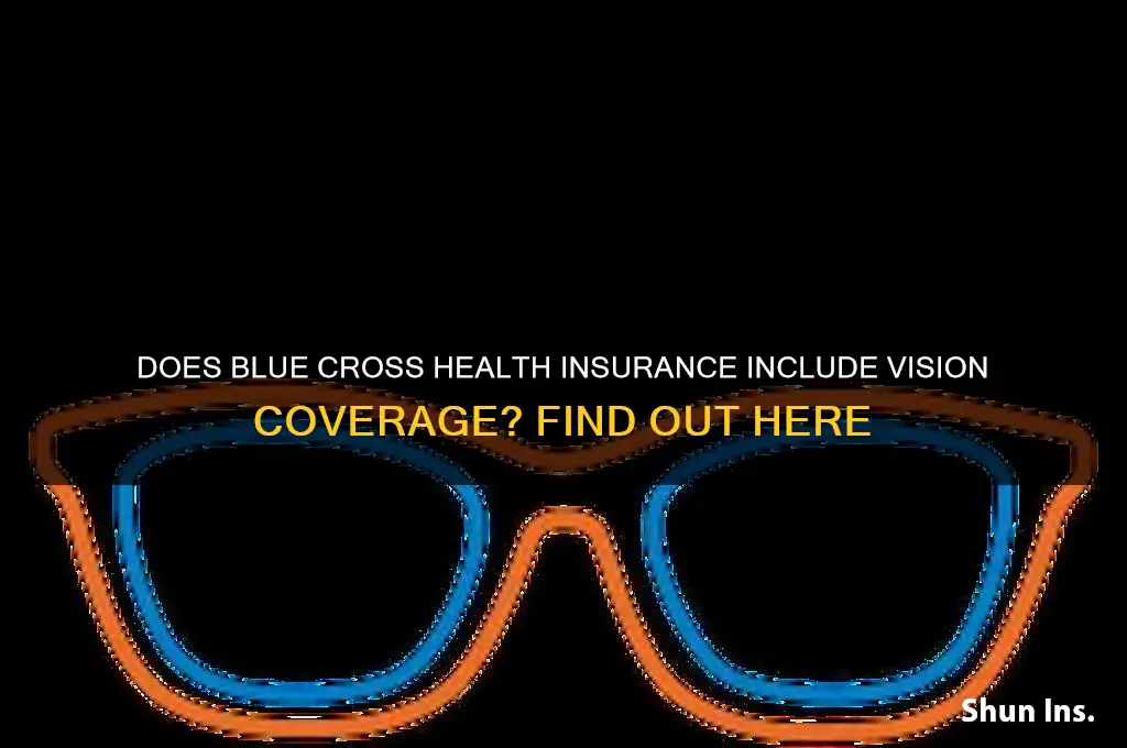 does blue cross health insurance cover vision
