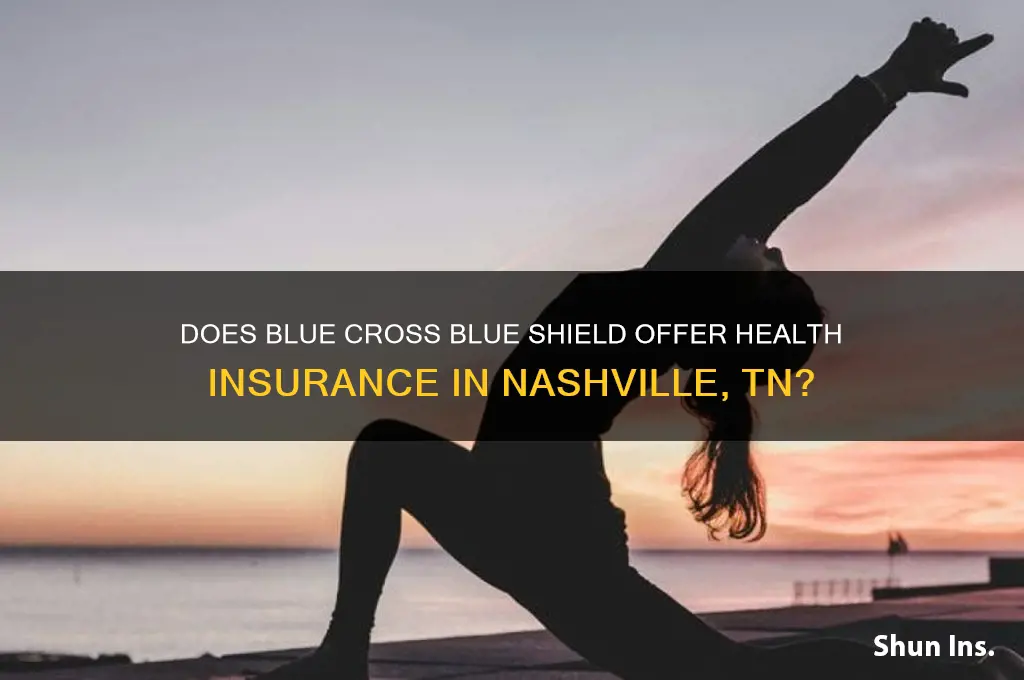 does blue cross insurance sell health insurance in nashville tn