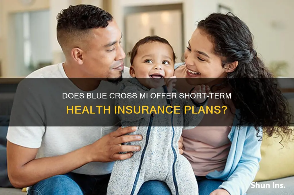 does blue cross mi have short term health insurance