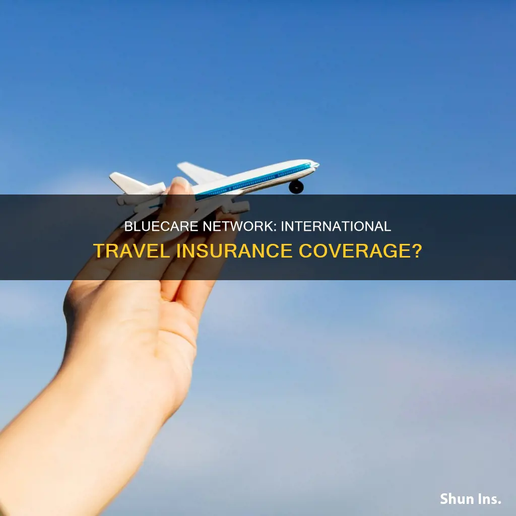 does bluecare network medical insurance cover international travel