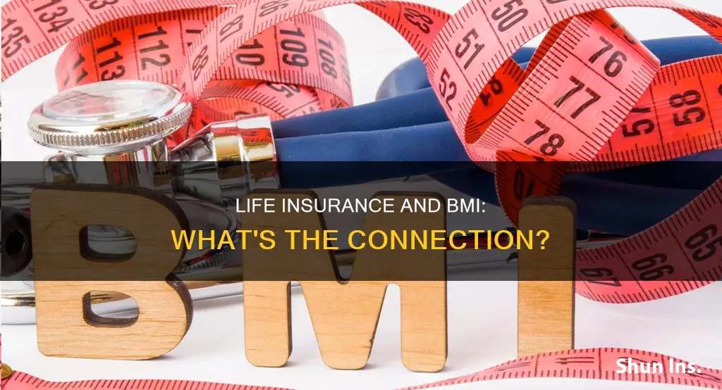 does bmi affect life insurance