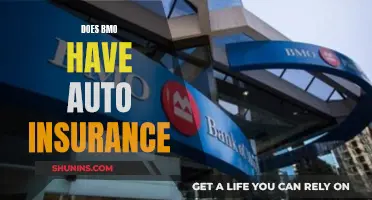 BMO's Auto Insurance: What You Need to Know