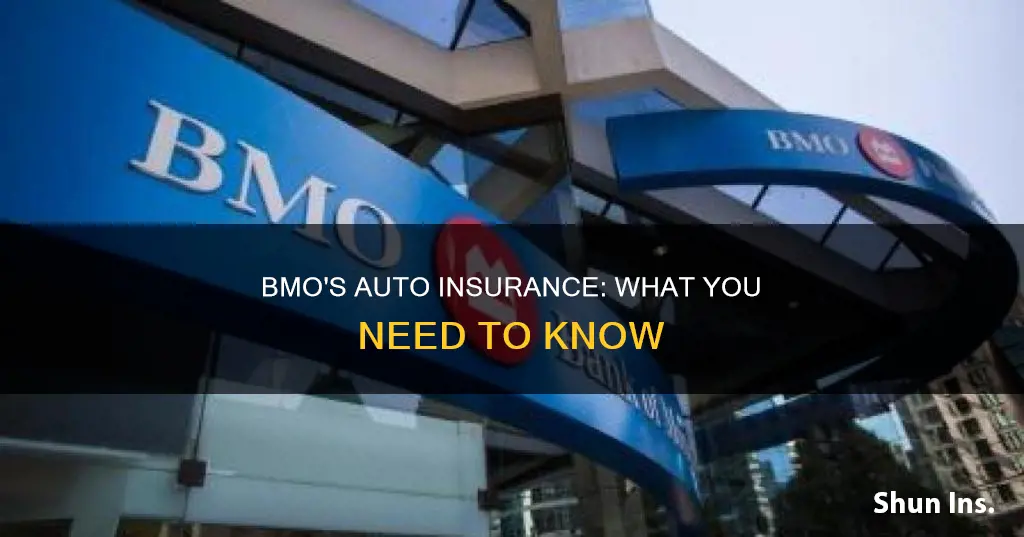 does bmo have auto insurance