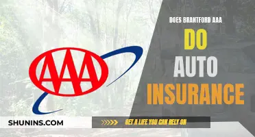 Brantford AAA Auto Insurance: What You Need to Know