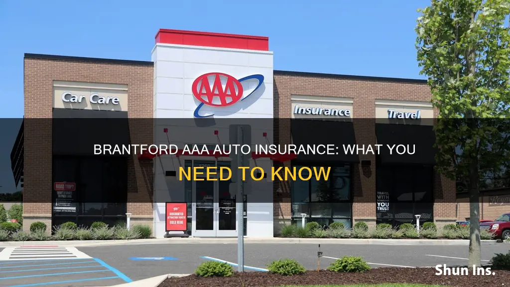 does brantford aaa do auto insurance