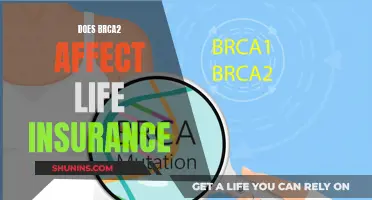 BRCA2 Gene: Life Insurance Impact and Implications