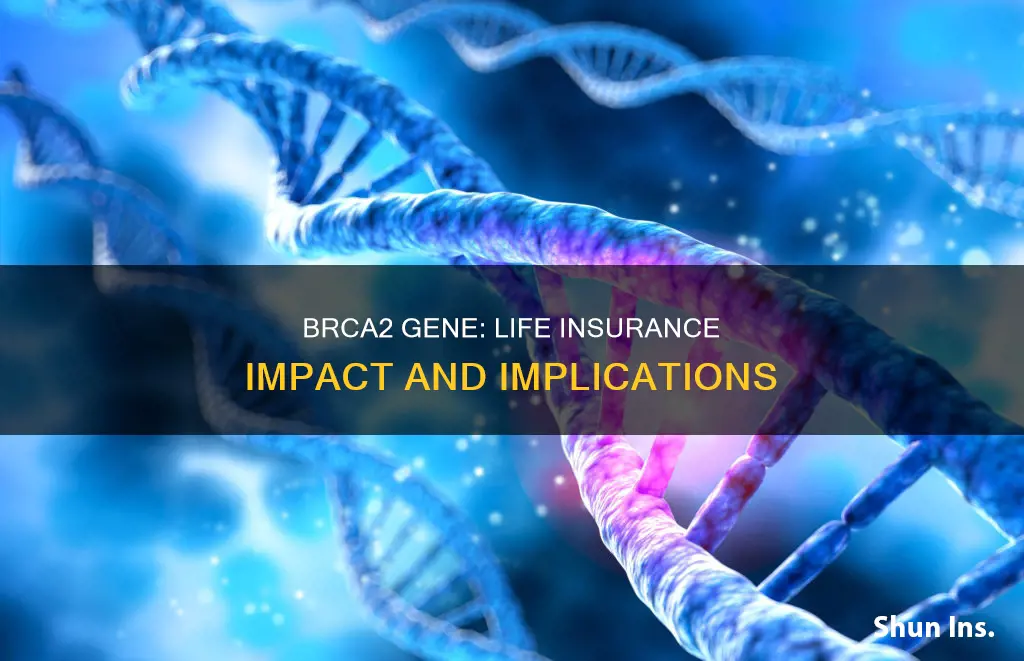 does brca2 affect life insurance