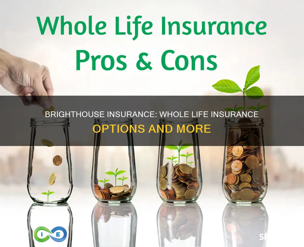 does brighthouse do whole life insurance