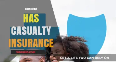 Does BSBS Offer Casualty Insurance? A Comprehensive Coverage Guide