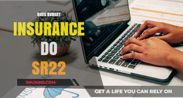 Does Budget Insurance Offer SR22 Filings? A Comprehensive Guide