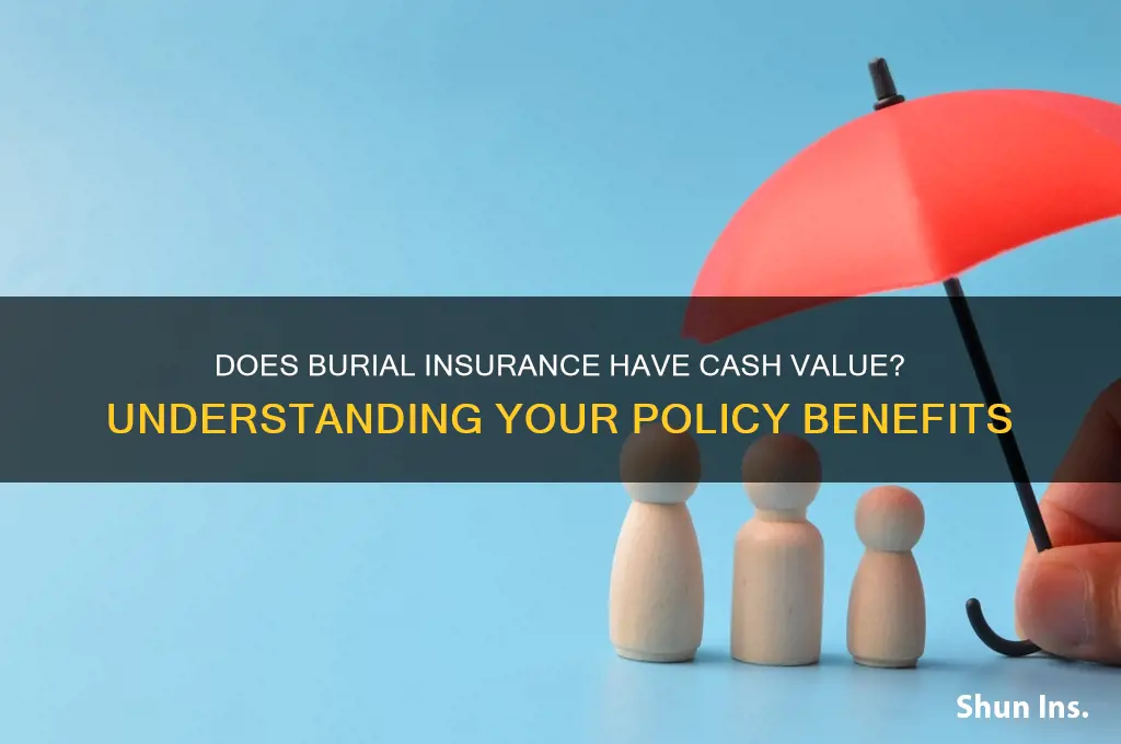 does burial insurance have cash value