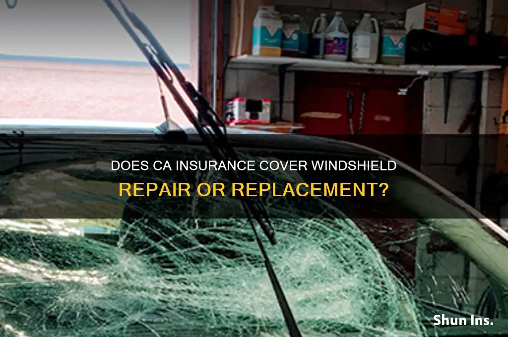 does ca insurance fix windshield