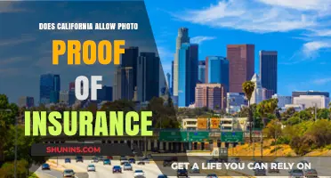 California's Photo Proof of Insurance: Accepted or Not?