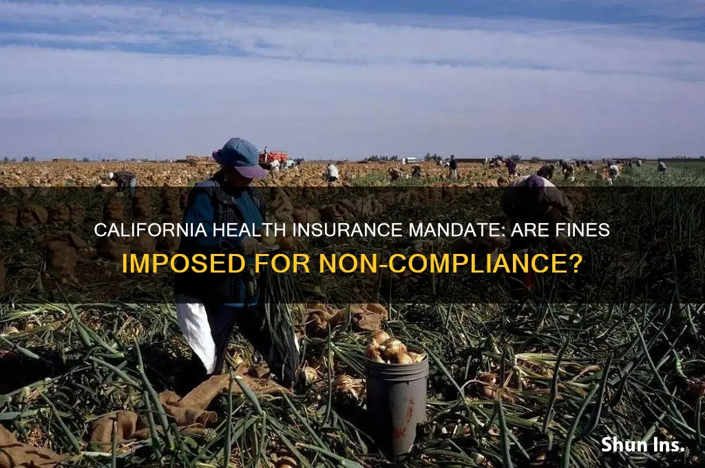 does california fine you for not having health insurance