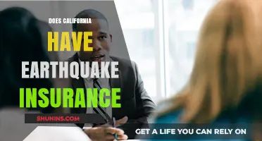 Does California Have Earthquake Insurance? What Residents Need to Know