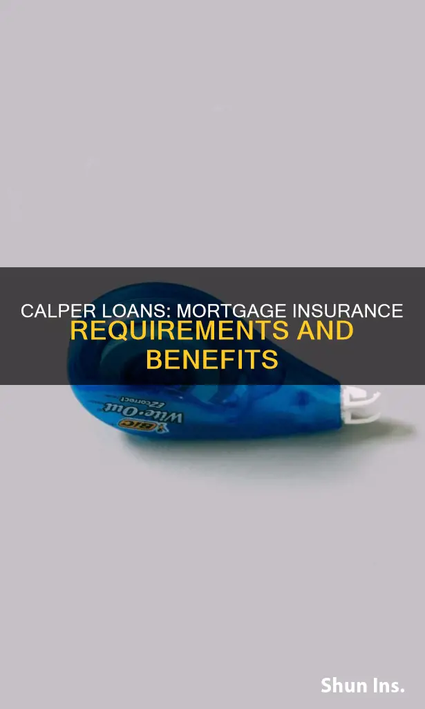 does calper loans have mortgage insurance