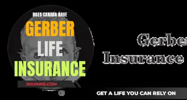 Gerber Life Insurance: Is It Available in Canada?