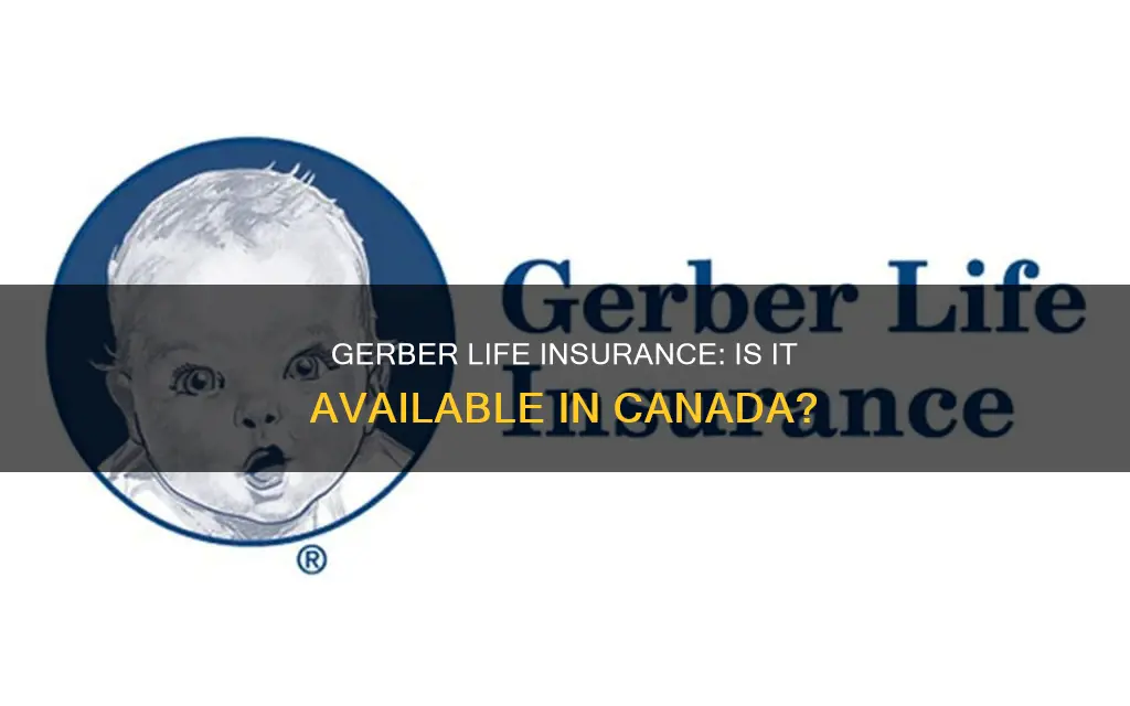 does canada have gerber life insurance