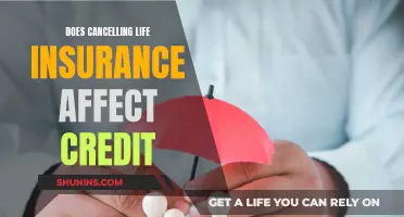 Life Insurance Cancellation: Credit Impact and You