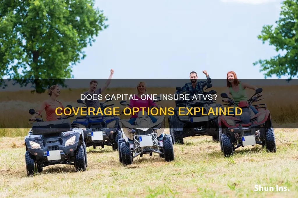 does capital one insure atv