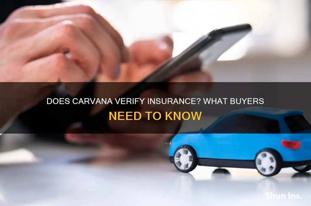 does carvana verify insurance