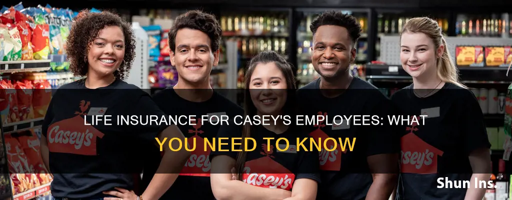 does caseys have life insurance for employees