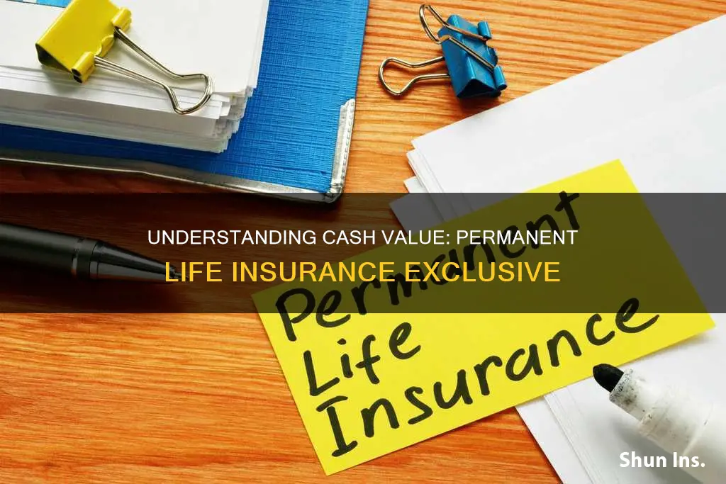 does cash value only apply to permanent life insurance