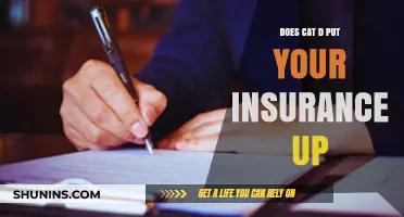 Does Cat D Impact Your Insurance Premiums? A Comprehensive Guide
