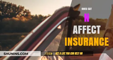 How Does Cat N Status Affect Your Insurance?
