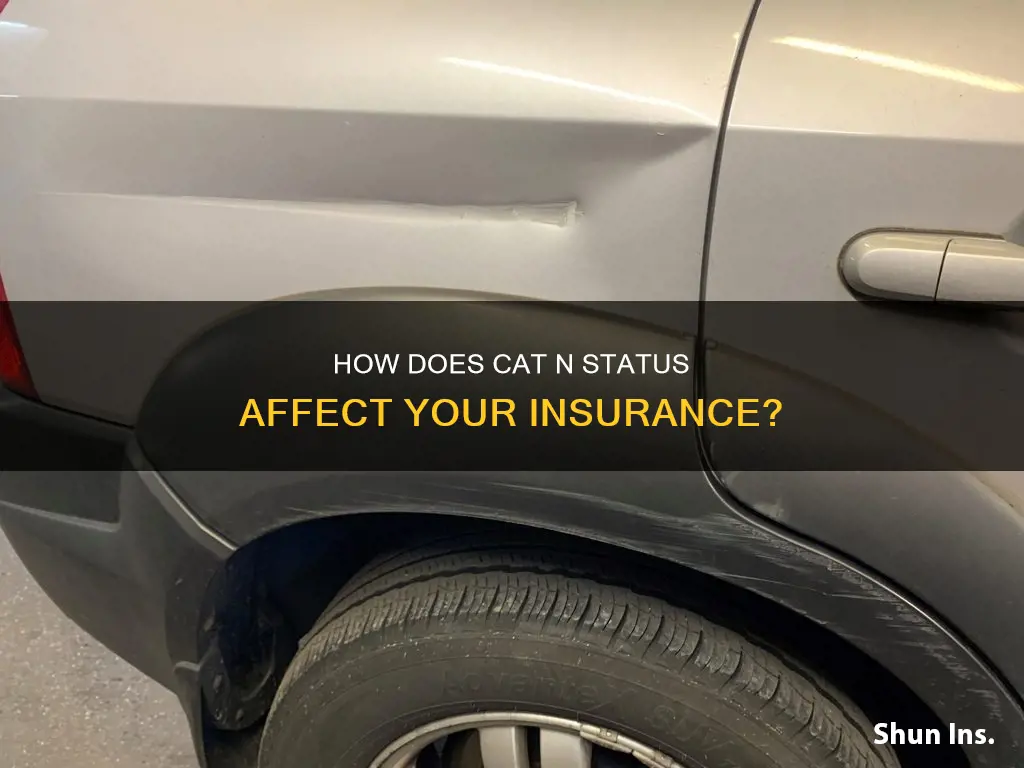 does cat n affect insurance