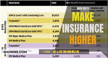 Cat's Insurance: Unraveling the Mystery of Higher Premiums