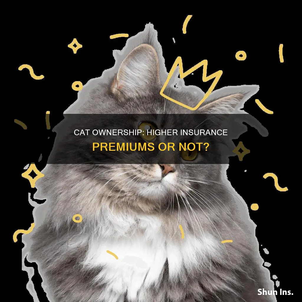 does cat s make insurance higher
