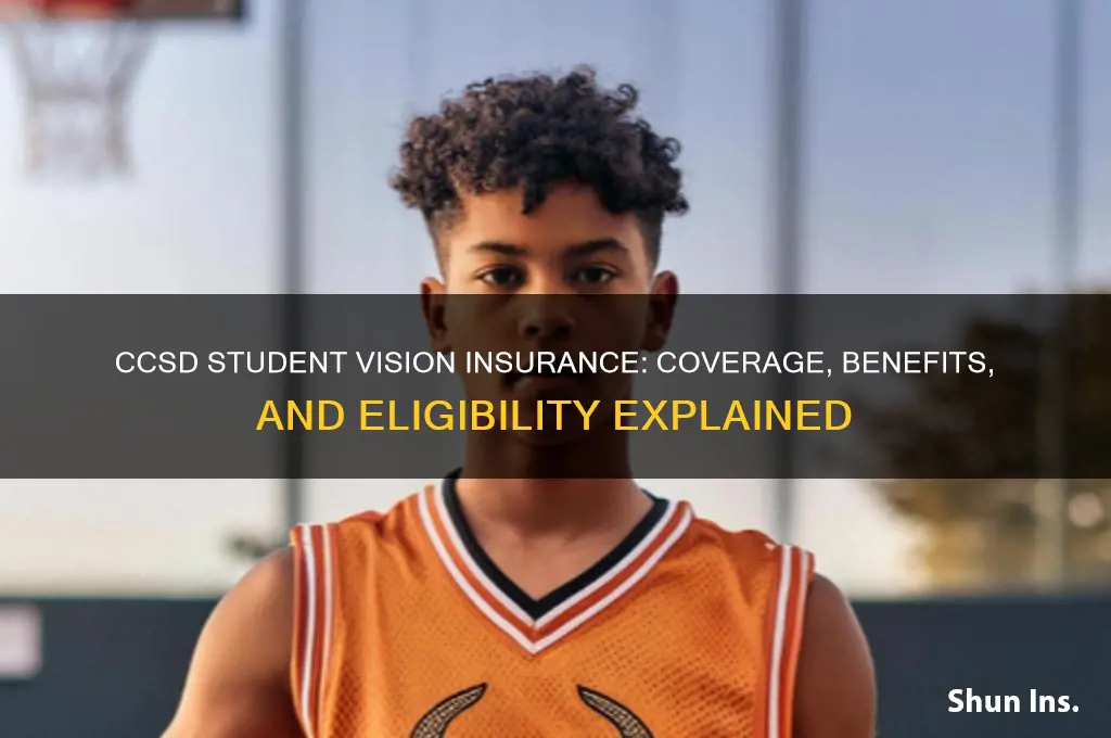does ccsd have vision insurance for students