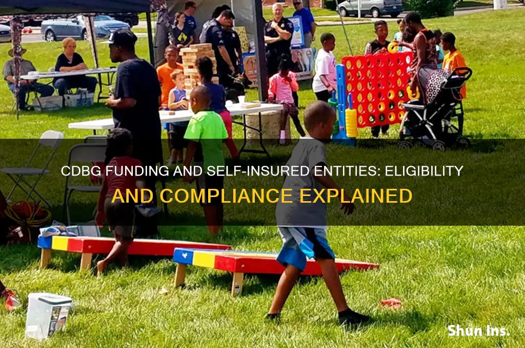 does cdbg allow self insured