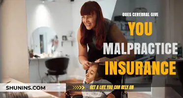 Does Cerebral Provide Malpractice Insurance for Online Therapy Services?