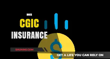 Understanding CGIC Insurance: Coverage, Benefits, and Policy Options Explained