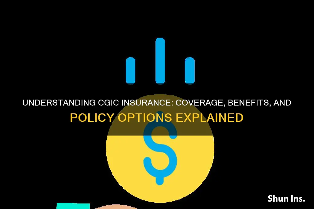 does cgic insurance