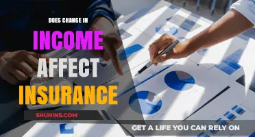 Income Fluctuations: Insurance Policy Changes?