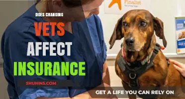Switching Vets: What's the Impact on Pet Insurance?