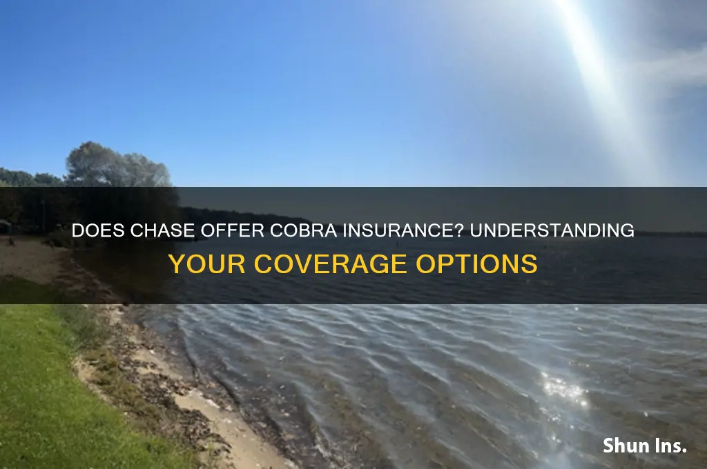 does chase do cobra insurance