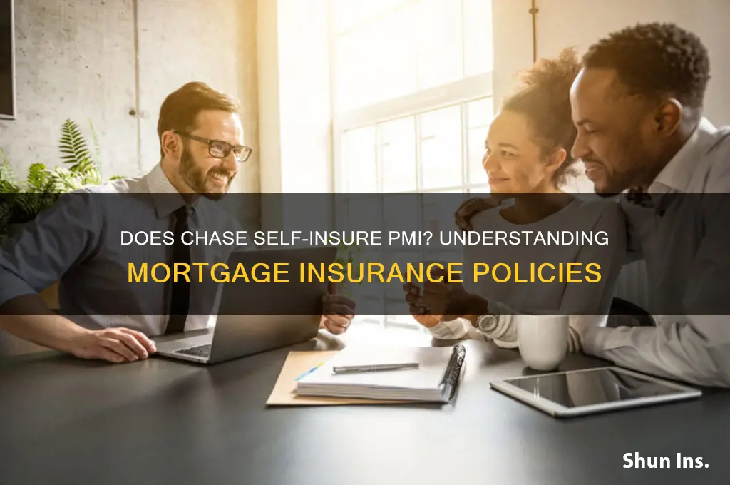 does chase self insure pmi