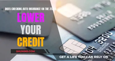 Auto Insurance Quotes and Your Credit: The Zebra's Impact