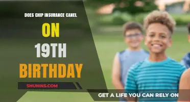 Does CHIP Insurance Coverage End on Your 19th Birthday? Find Out
